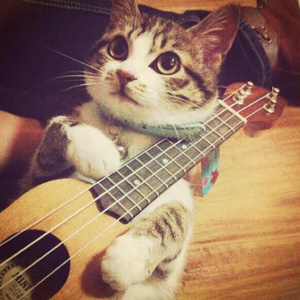 摄殓18r微博超话
